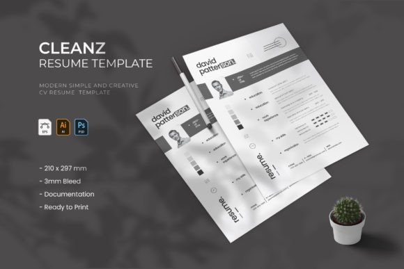 Stand Out with Cleanz - Resume: A Template That Gets You Hired